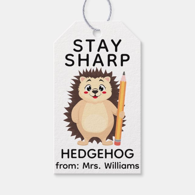 Back to School Stay sharp hedgehog Cute Funny Pun Geschenkanhänger (Vorderseite)
