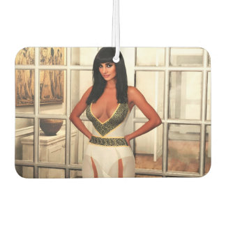 Back to That Special Place air freshener Autolufterfrischer