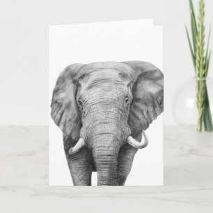 Back Up Plan IV Karte