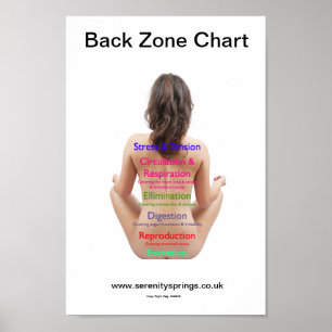 Back Zone Chart Poster