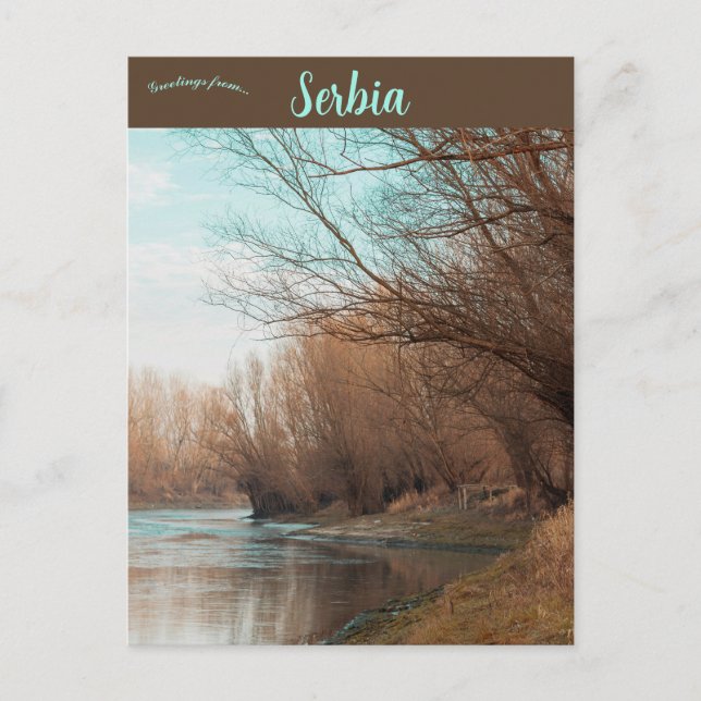 Backa Palanka Serbien Postkarte (Vorderseite)