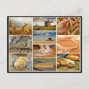 Backbrot Weizengebäck Teig Collage Postkarte