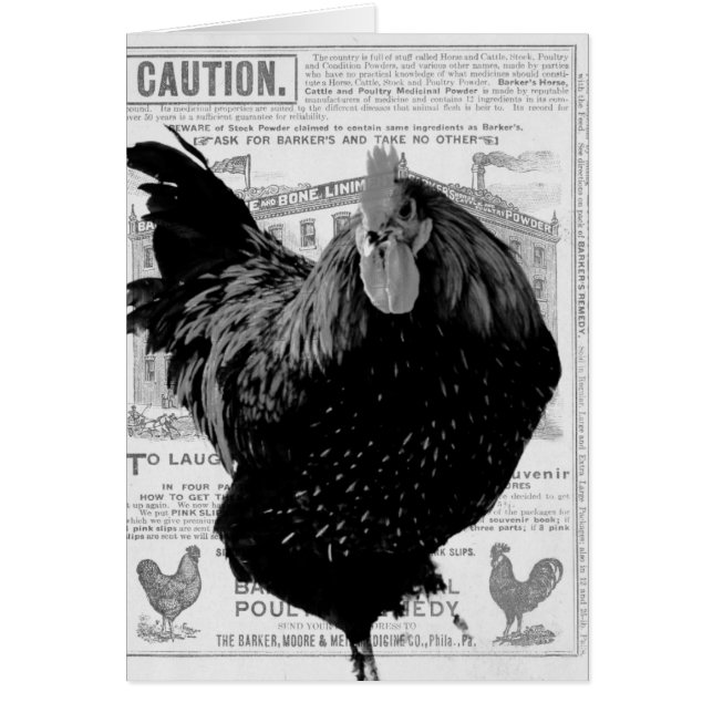 Bäckerspezialgeflügel (Vorne)