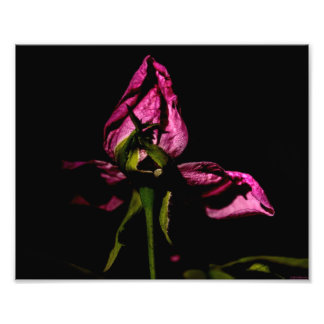 Backing out of the Shadows Fotodruck