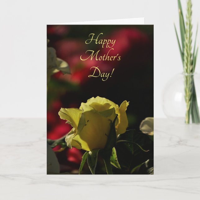 Backlit Yellow Rose Bud Eröffnungsfeier Muttertag Karte (Vorderseite)