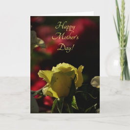 Backlit Yellow Rose Bud Eröffnungsfeier Muttertag Karte
