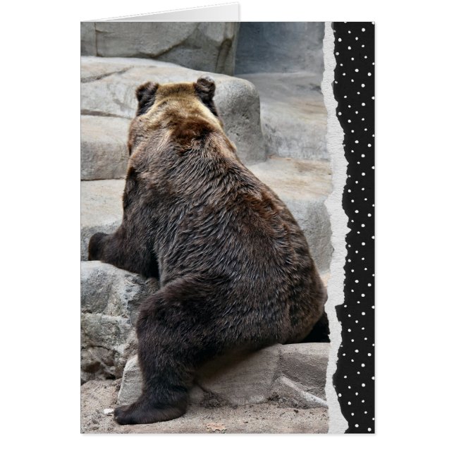 Backward Birthday Bar (Vorne)