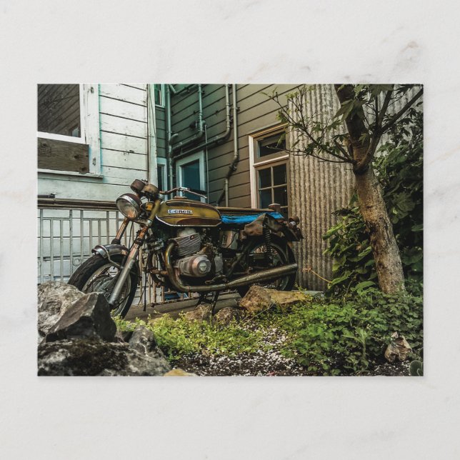 Backyard Benelli Postkarte (Vorderseite)