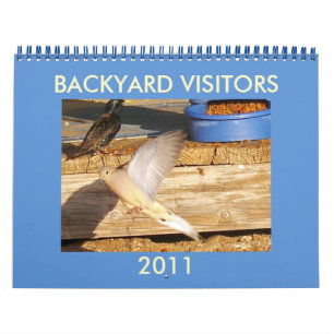 BACKYARD-BESUCHER KALENDER