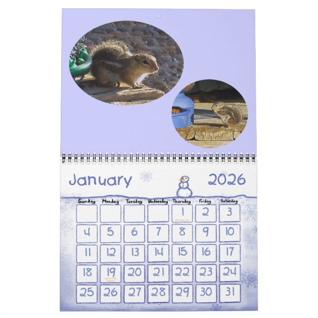 BACKYARD-BESUCHER KALENDER (Jan 2026)