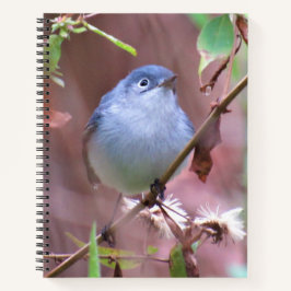 Backyard Bird-Notebook - Blue-Gray Gnatcatcher Notizbuch