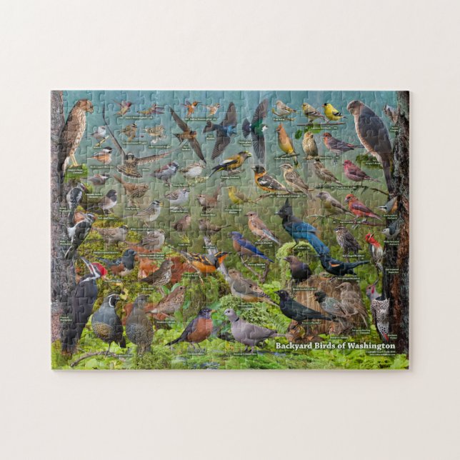 Backyard Birds of Washington Puzzle (Horizontal)