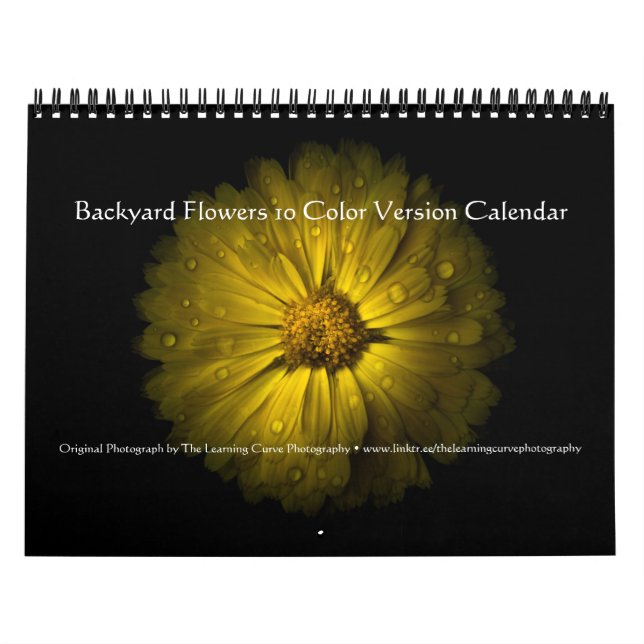 Backyard Flowers 10 Color Version Kalender (Titelbild)