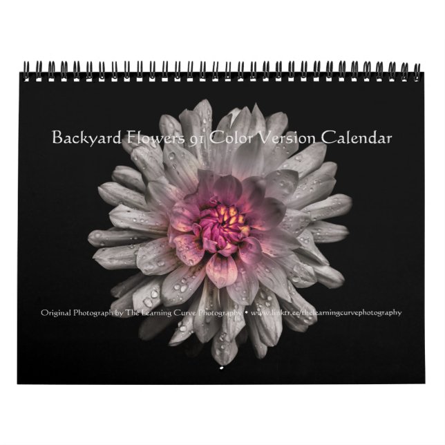 Backyard Flowers 91 Color Version Kalender (Titelbild)