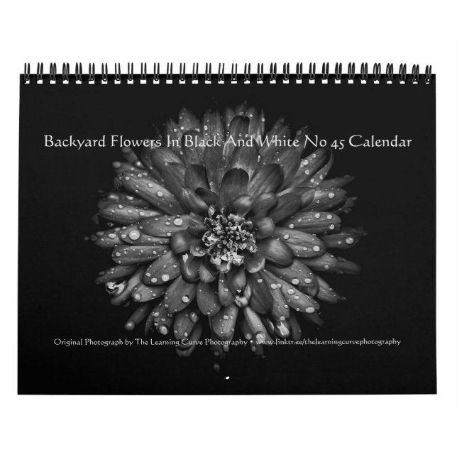 Backyard Flowers In Black And White No 45 Kalender (Titelbild)