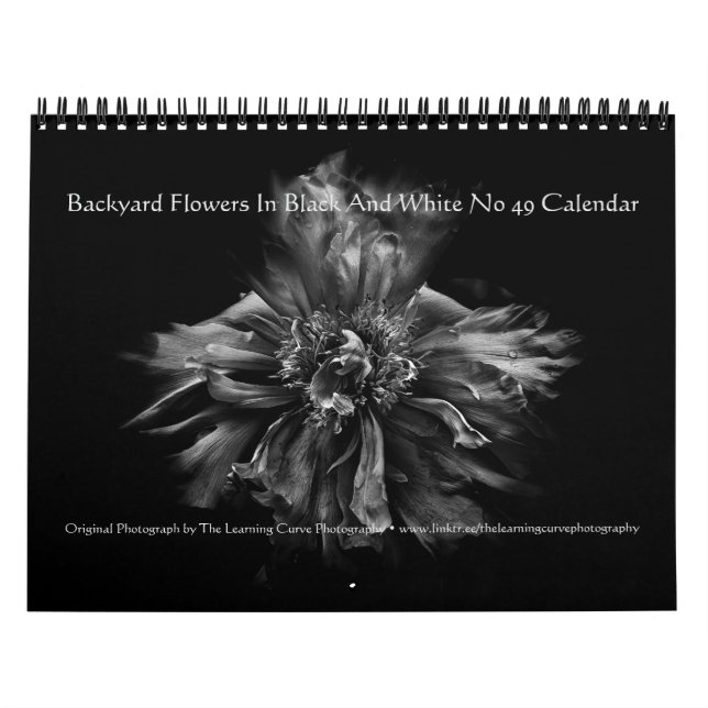 Backyard Flowers In Black And White No 49 Kalender (Titelbild)