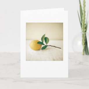 Backyard Meyer Lemon Foto Painting Blank Karte