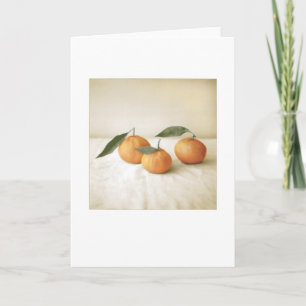 Backyard Satsuma Orange Foto Painting Blank Karte