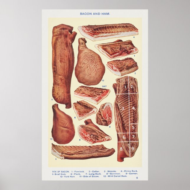 Bacon & Ham Poster (Vorne)