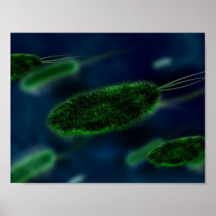 Bacteria Microbes Poster