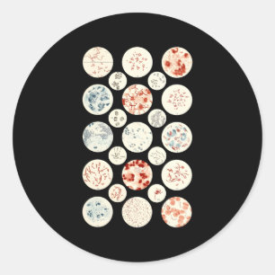 Bacteria Mikrobiologie Bacteria Science Tiny Micro Runder Aufkleber