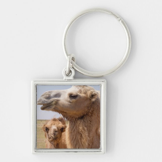 Bactrian Camel Portrait Schlüsselanhänger (Vorne)