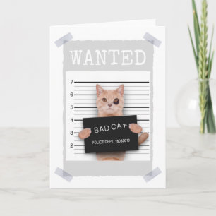 BAD CAT Police Mugshot - GEWOLLT Karte