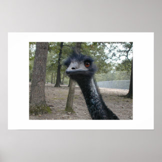 Bad Haar Day Poster