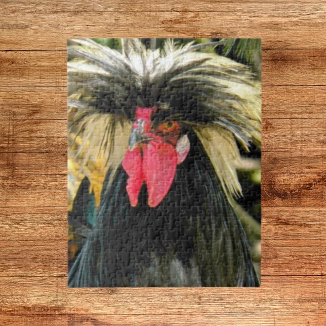 Bad Hair Chicken Foto Puzzle (In Situ)