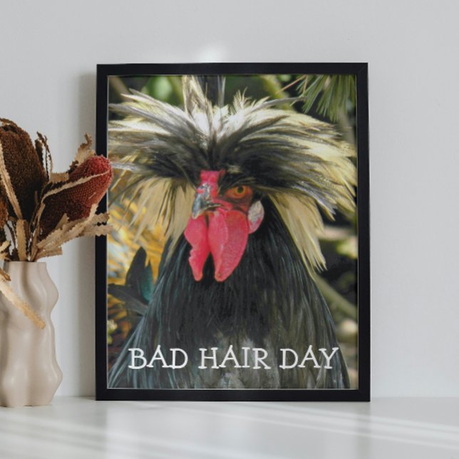 Bad Hair Day Chicken Meme Fotodruck (In Situ Framed)