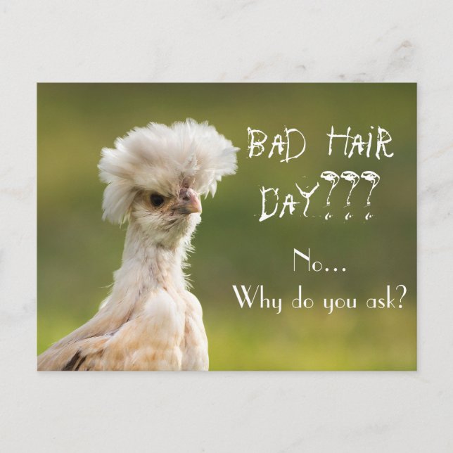 Bad Hair Day Chicken Postkarte (Vorderseite)