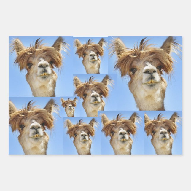 Bad Hair Day Geschenkpapier Set (Vorderseite)