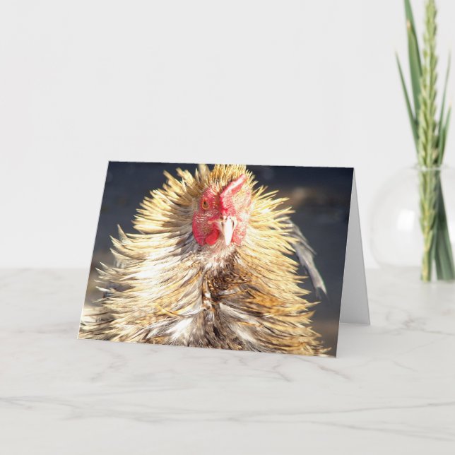 Bad Hair Day Karte (Vorderseite)