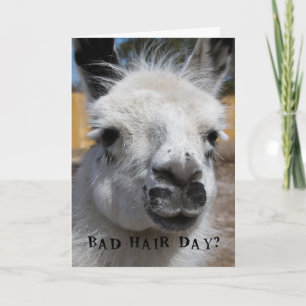 Bad Hair Day Karte