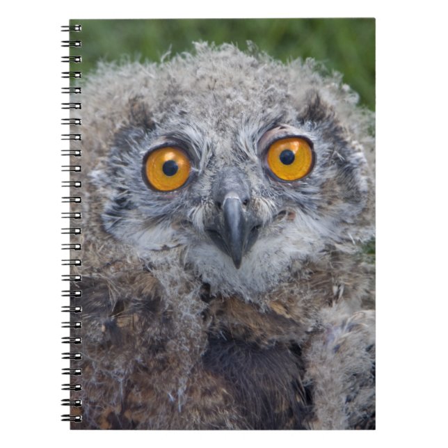 Bad Hair Day Notebook Notizblock (Vorderseite)