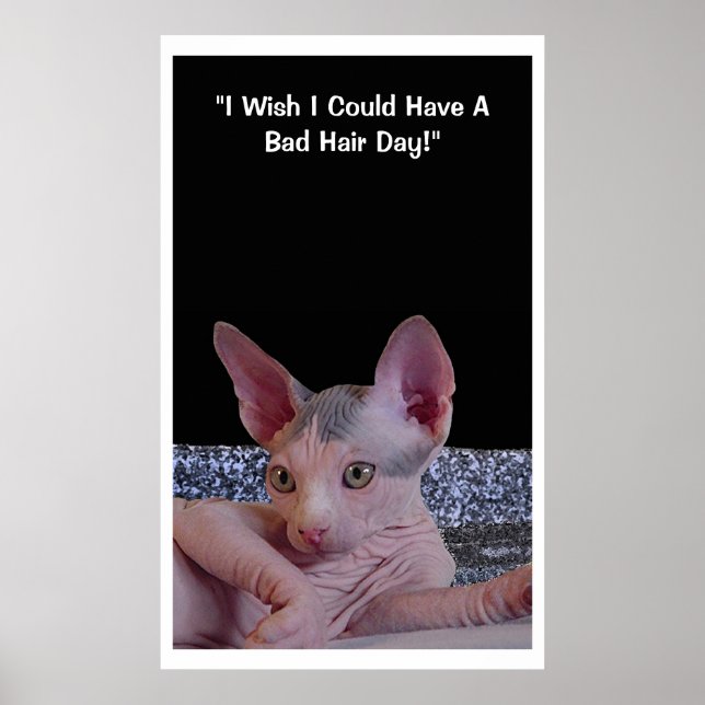 "Bad Hair Day" Poster (Vorne)