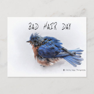 Bad Hair Day Postkarte