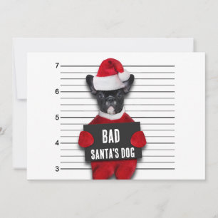 Bad Santa's Dog Mugshot Funny Christmas Feiertagskarte
