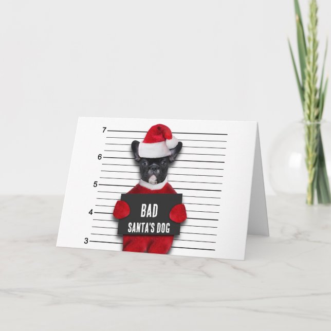 Bad Santa's Dog Mugshot Funny Christmas Karte (Vorderseite)