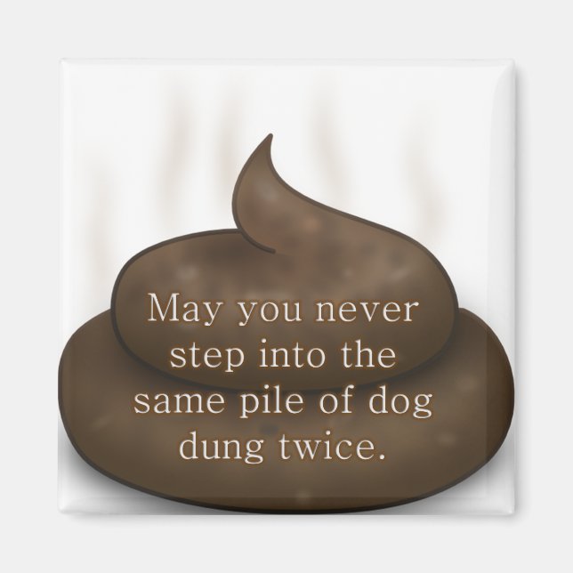 Bad Segen: Treten Sie nicht zweimal in Kack Magnet (Vorne)