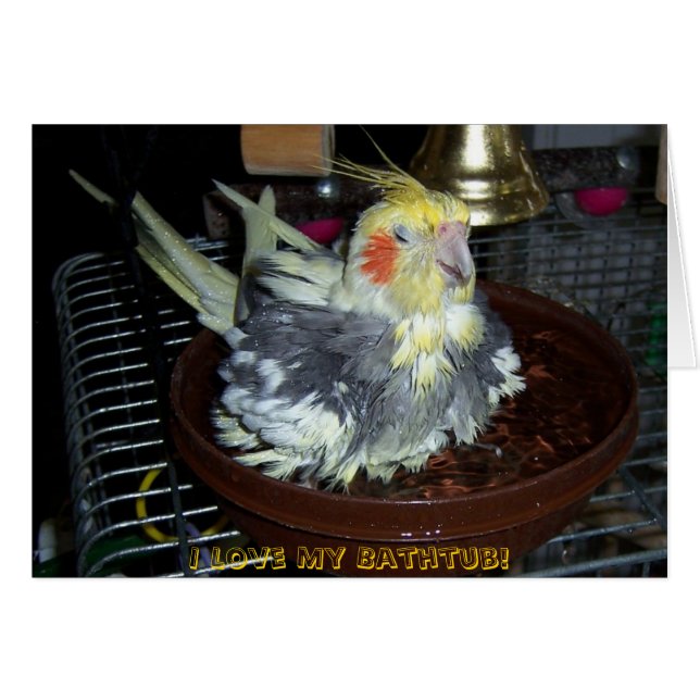 Bad-Zeit (Vorderseite (Horizontal))