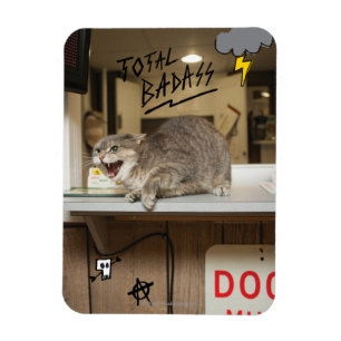 Badass Cat insgesamt Magnet
