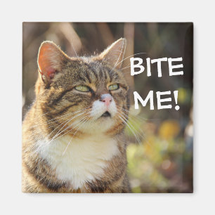 Badass Cats - "BITTE MICH!" Magnet
