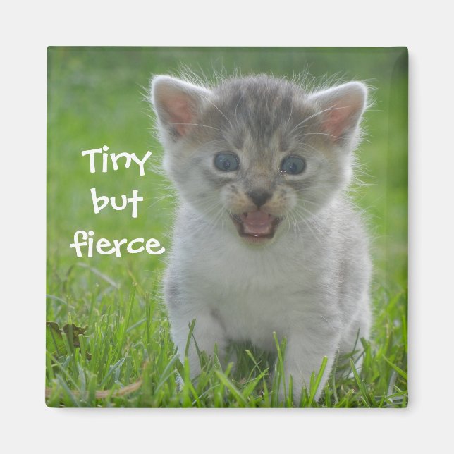 Badass Cats - "Tiny but Fierce" Magnet (Vorne)