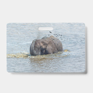 Bade-Elefant Ausweis