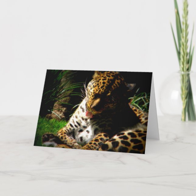 Badeleopard Feiertagskarte (Vorderseite)