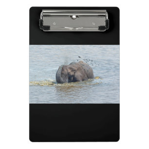Badelephant Mini Klemmbrett