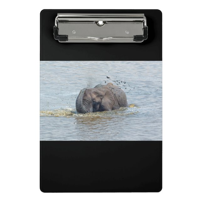 Badelephant Mini Klemmbrett (Vorderseite)