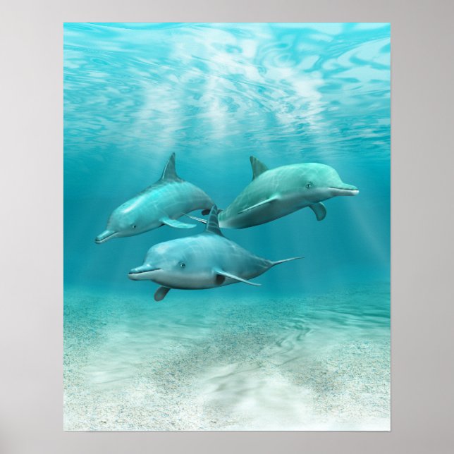Baden-Delphine Poster (Vorne)