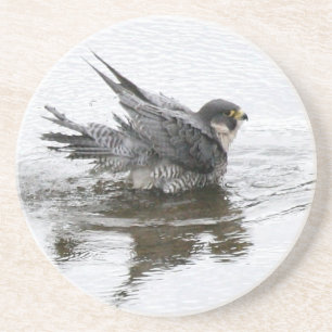 Baden der Schönheits-Sandstein-Getränk-Untersetz Getränkeuntersetzer